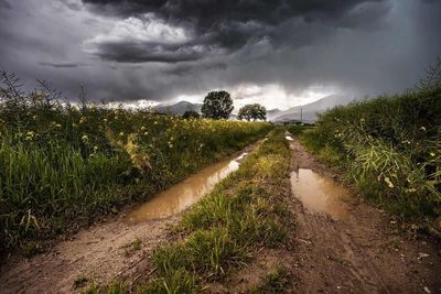 Rains Disrupt Brazil Coffee Harvest and Support Prices
